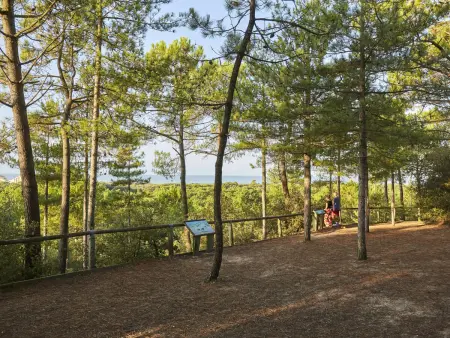 Maison familiale à Saint-Jean-de-Monts, piscine commune, parking privé - Photo 12