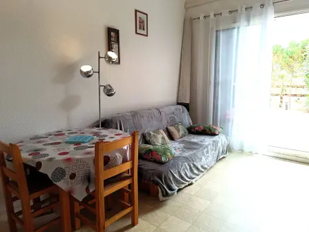 Maison climatisée avec piscine et parking à Saint-Cyprien : photo 6