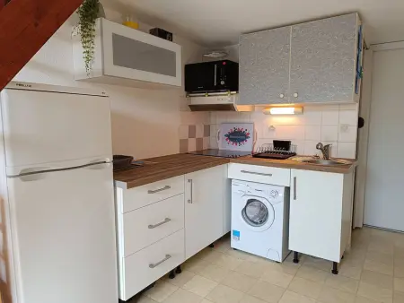 Maison climatisée avec piscine et parking à Saint-Cyprien : photo 7