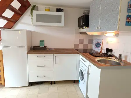 Maison climatisée avec piscine et parking à Saint-Cyprien : photo 8