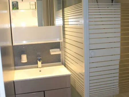 Maison climatisée avec piscine et parking à Saint-Cyprien : photo 9