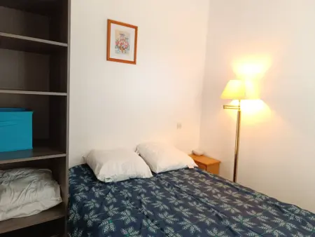 Maison climatisée avec piscine et parking à Saint-Cyprien : photo 11