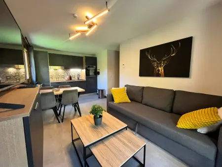 Appartement 43m² piscine à Samoëns, 50m du ski-bus : photo 2