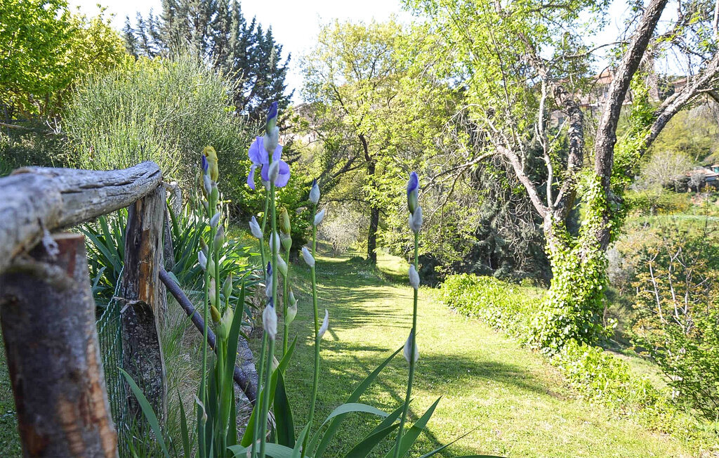 Appartement 5 personnes à Paciano - Photo 6