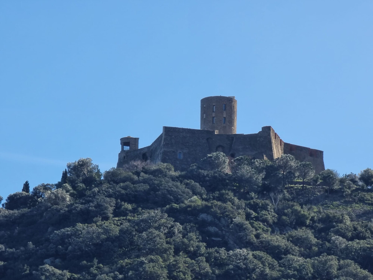 T2 sécurisé Collioure, 300m plage, parking inclus - Photo 19