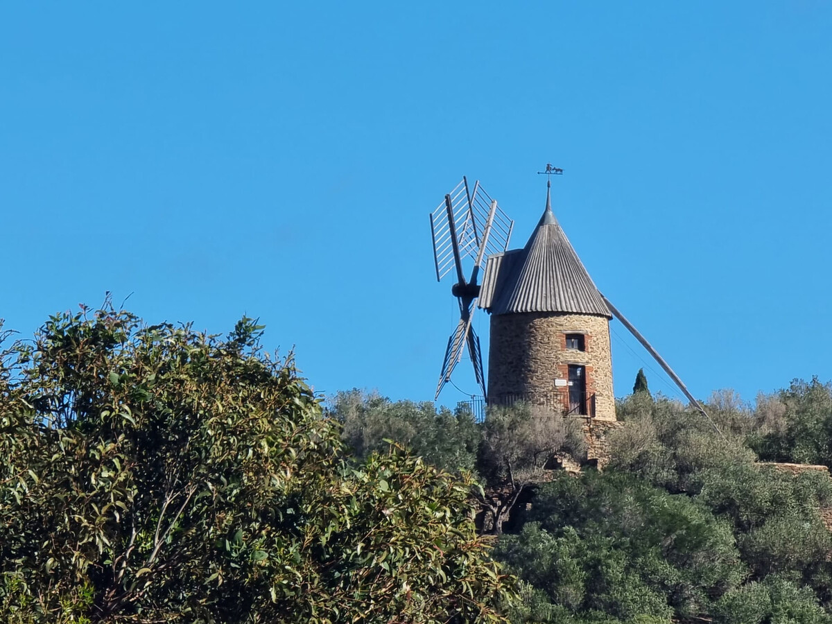 T2 sécurisé Collioure, 300m plage, parking inclus - Photo 20