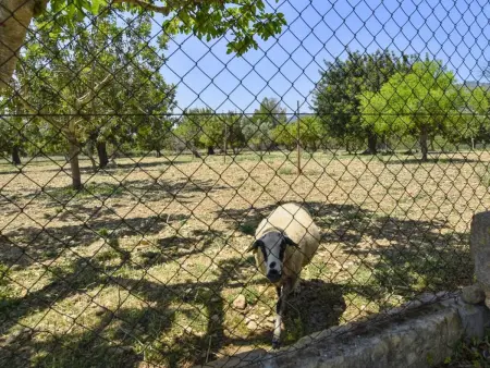 Tabou, Location Maison 6 personnes à Selva - Photo 22