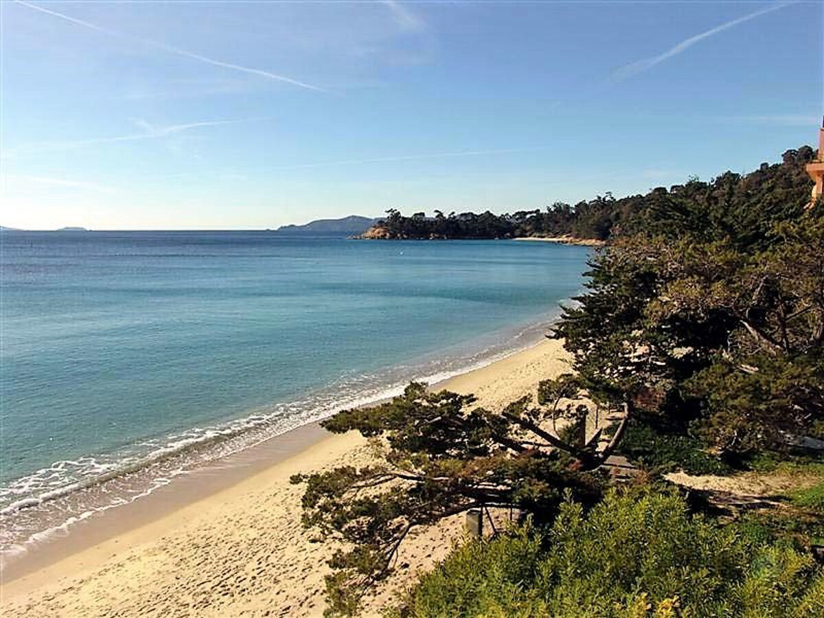 Appt 2P terrasse Sud et parking - Le Lavandou - Photo 15
