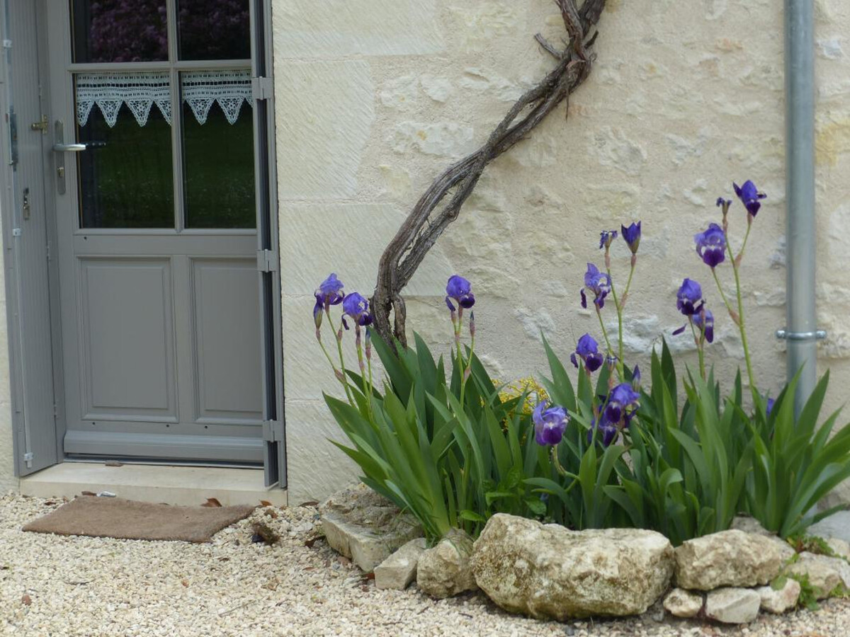 Gîte XVIe-XVIIIe rénové, jardin clos à 200m de la Loire - Photo 14