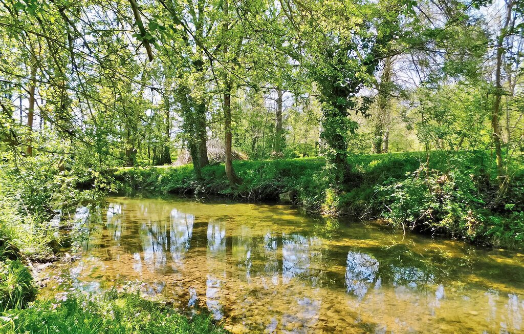 Maison pierre avec piscine privée à Neuvic sur l'Isle - Photo 24