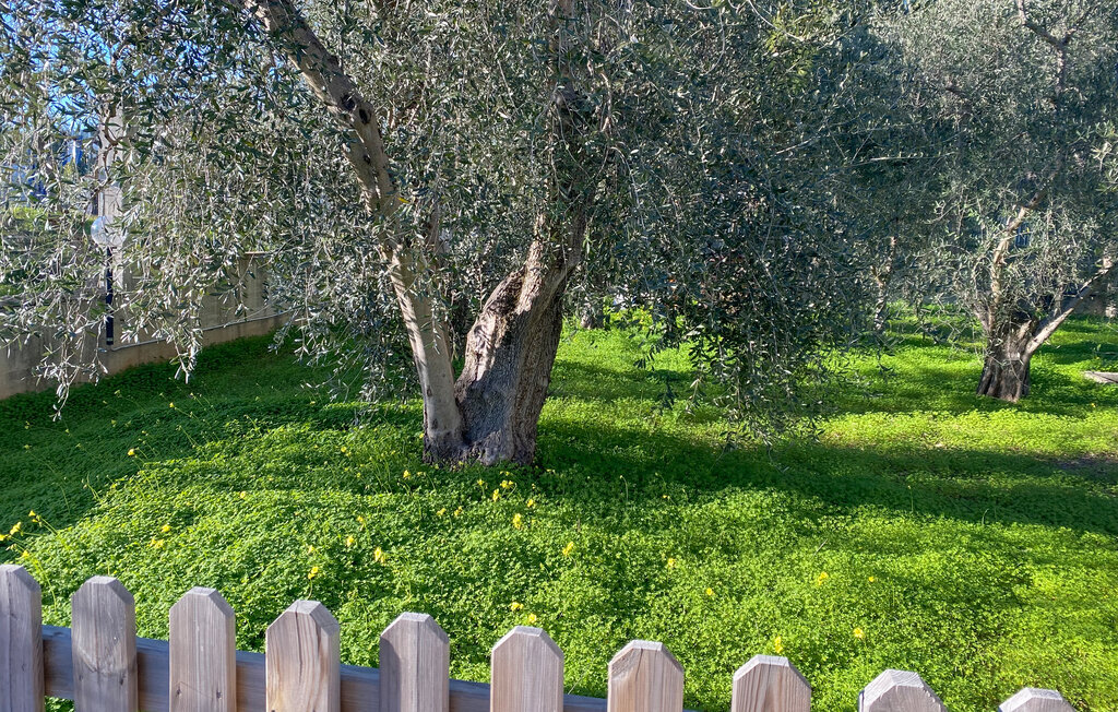 Maison 22 personnes au cœur du Gargano, près de la mer - Photo 6