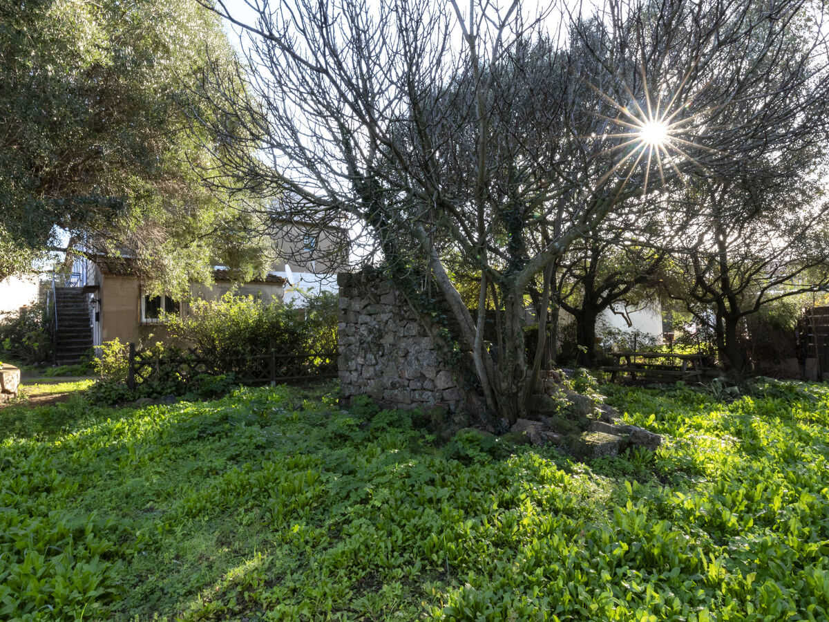 Santa, appartement rustique Porto Vecchio, 5 pers. - Photo 16