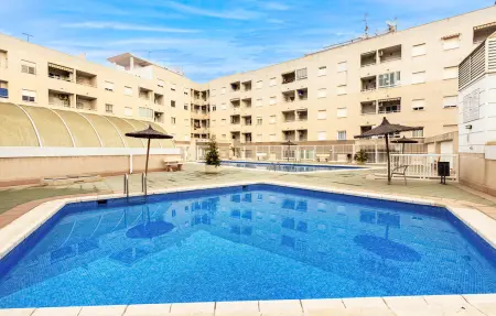 Appartement 2 chambres avec piscine commune à Torrevieja : photo 10