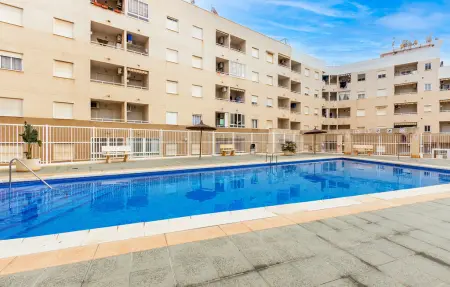 Appartement 2 chambres avec piscine commune à Torrevieja : photo 11