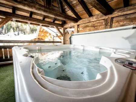 Chalet spacieux avec jacuzzi, animaux admis, proche pistes - Photo 12