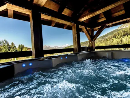 Chalet spacieux avec jacuzzi, animaux admis, proche pistes - Photo 13