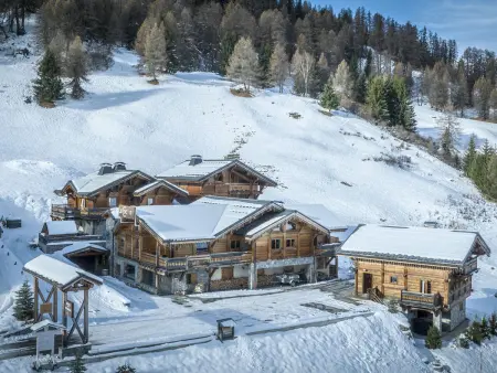 Chalet spacieux avec jacuzzi, animaux admis, proche pistes - Photo 16