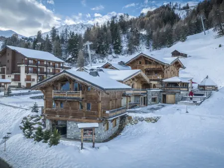 Chalet spacieux avec jacuzzi, animaux admis, proche pistes - Photo 17