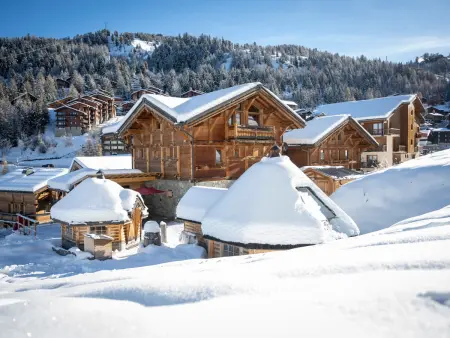 Chalet spacieux avec jacuzzi, animaux admis, proche pistes - Photo 19