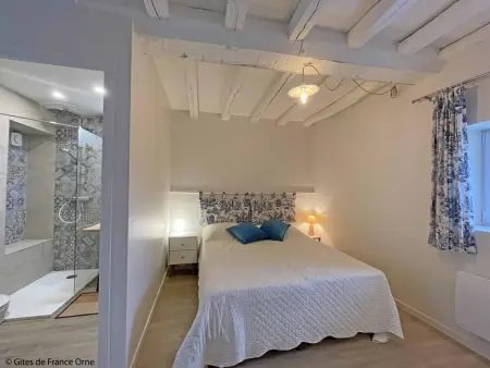 Maison de campagne rénovée, animaux acceptés, wifi - Photo 19