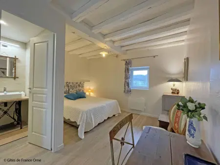 Maison de campagne rénovée, animaux acceptés, wifi - Photo 20