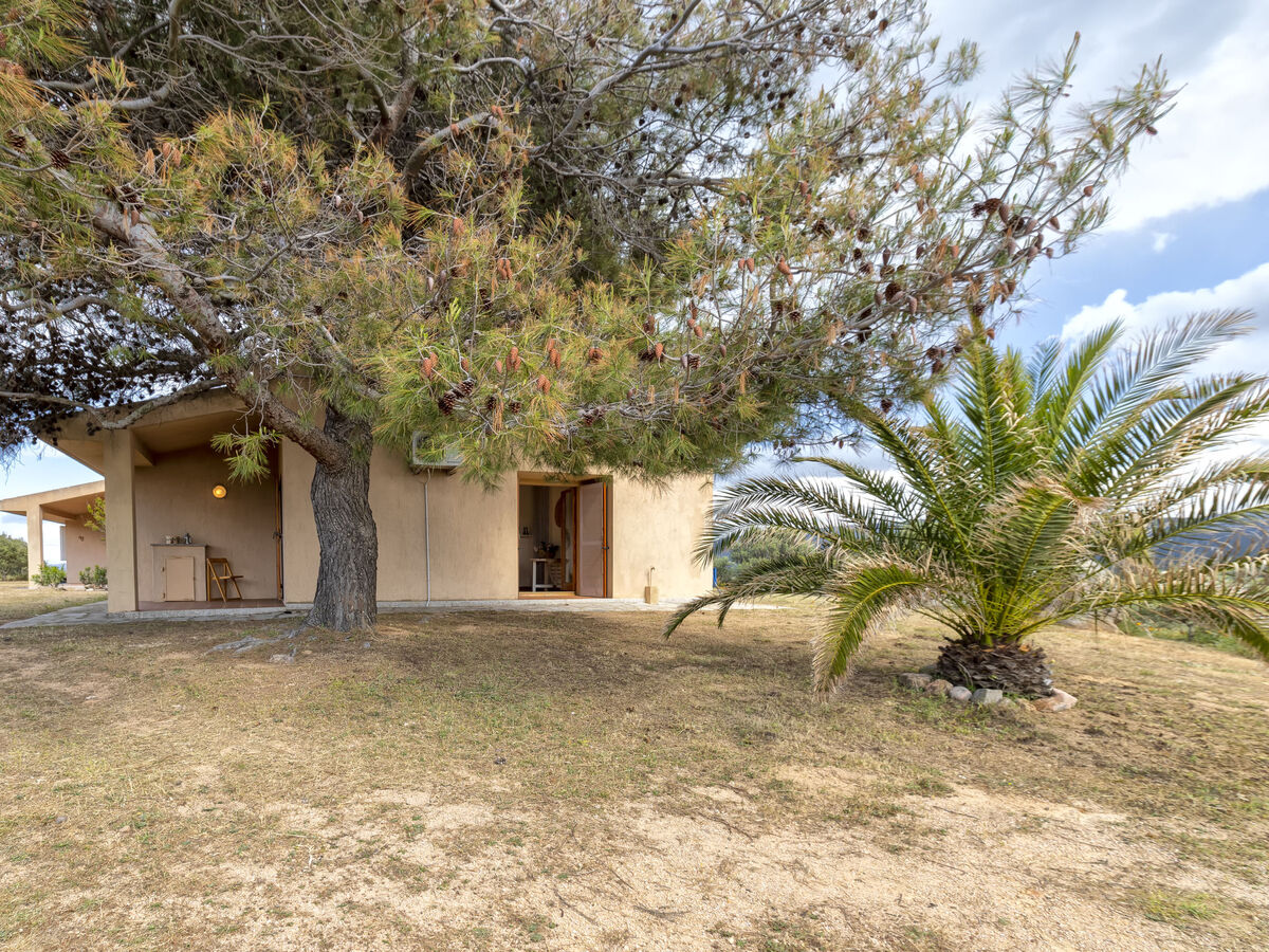 Maison Savina à Costa Paradiso, 120 m² jardin vue vallée - Photo 31