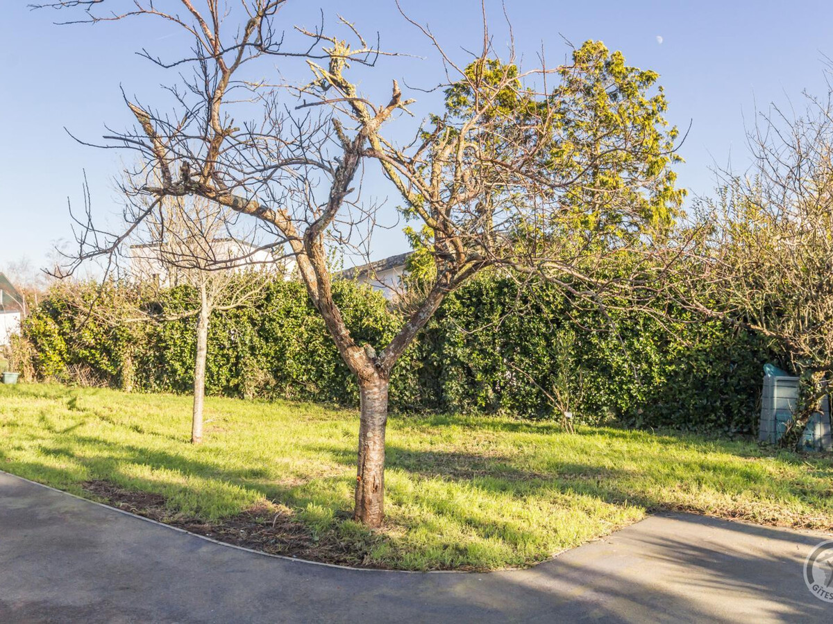 Maison 8 pers. à Montmartin-sur-Mer, vue mer et terrain clos - Photo 16