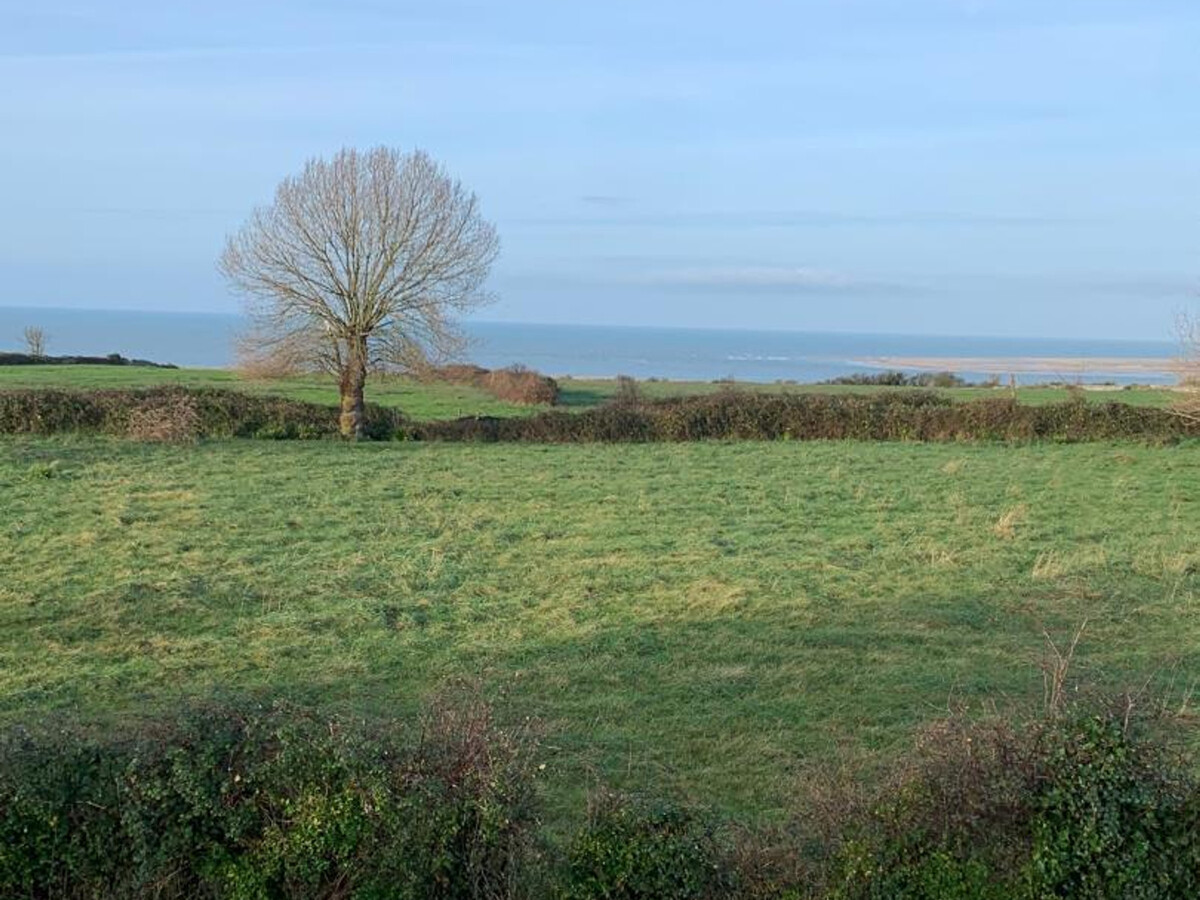 Maison 8 pers. à Montmartin-sur-Mer, vue mer et terrain clos - Photo 23