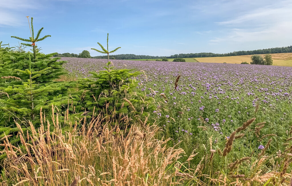Maison 8 pers. avec vue panoramique à Vresse-sur-Semois - Photo 22