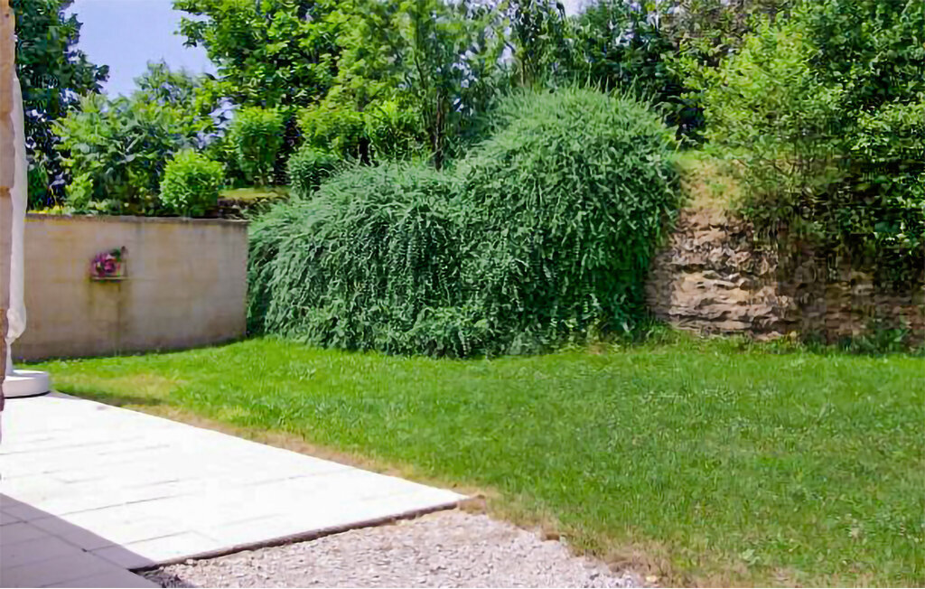 Maison 6 pers. avec piscine privée à Montignac - Photo 11