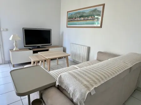 T2 rez-de-chaussée avec terrasse et parking à Cambo-les-Bains : photo 7
