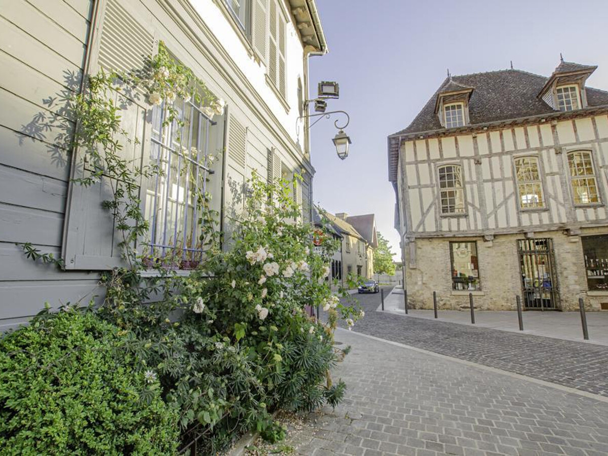 Maisonnette à Troyes avec poêle, jardin et animaux acceptés - Photo 22