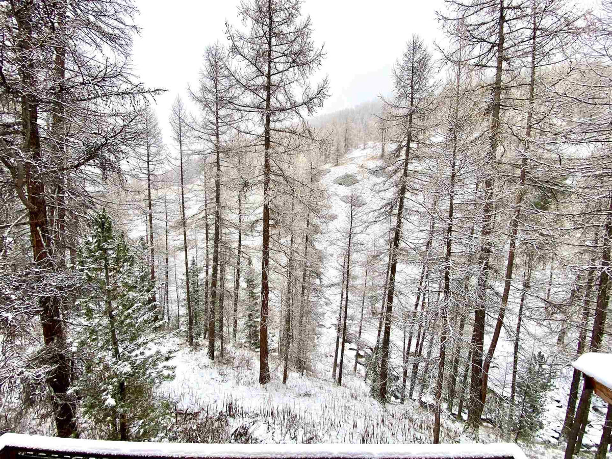 Chalet 12 pers. avec cheminée et terrasse à Vars - Photo 14