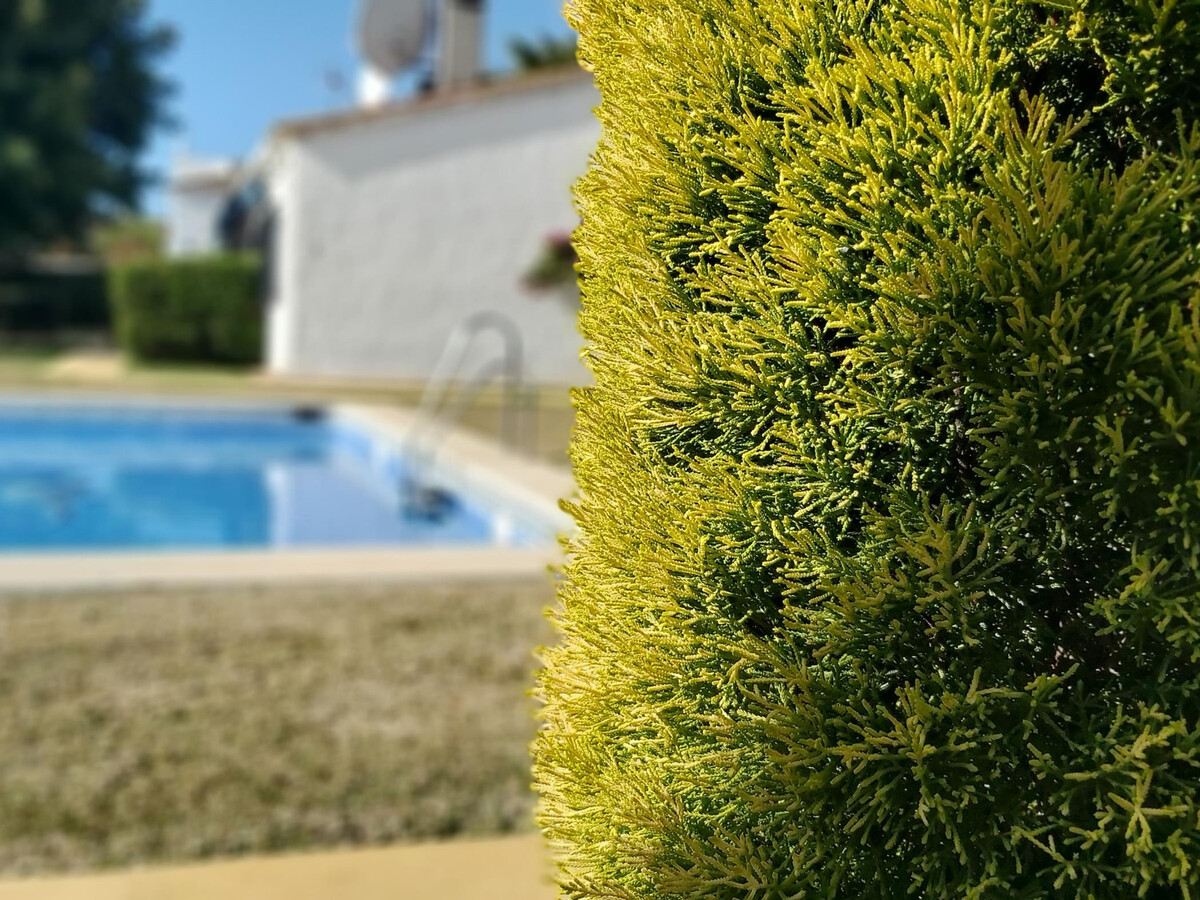 Villa Del Parque Flats Picasso, 2 ch., piscine à Marbella - Photo 1