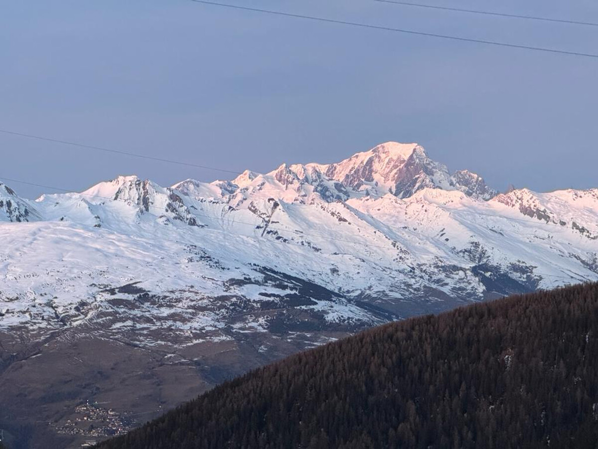 Appartement 3 chambres ski in/out · Vue Mont Blanc · La Plagne - Photo 13