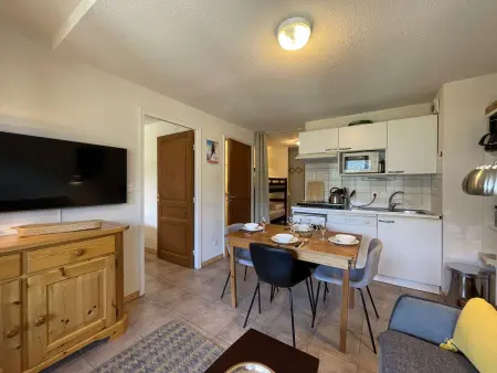 Appartement 33m² avec terrasse vue montagnes à Montgenèvre : photo 10