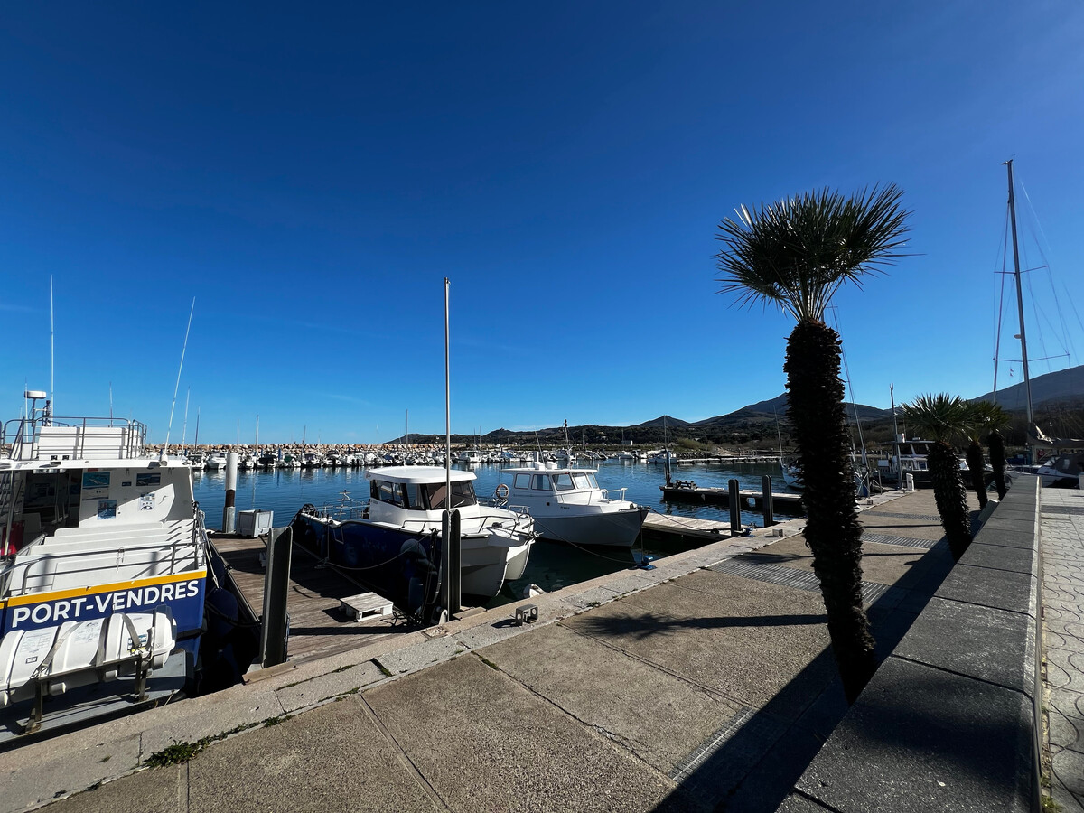T3 avec vue mer et parking à Argelès-sur-Mer - Photo 1