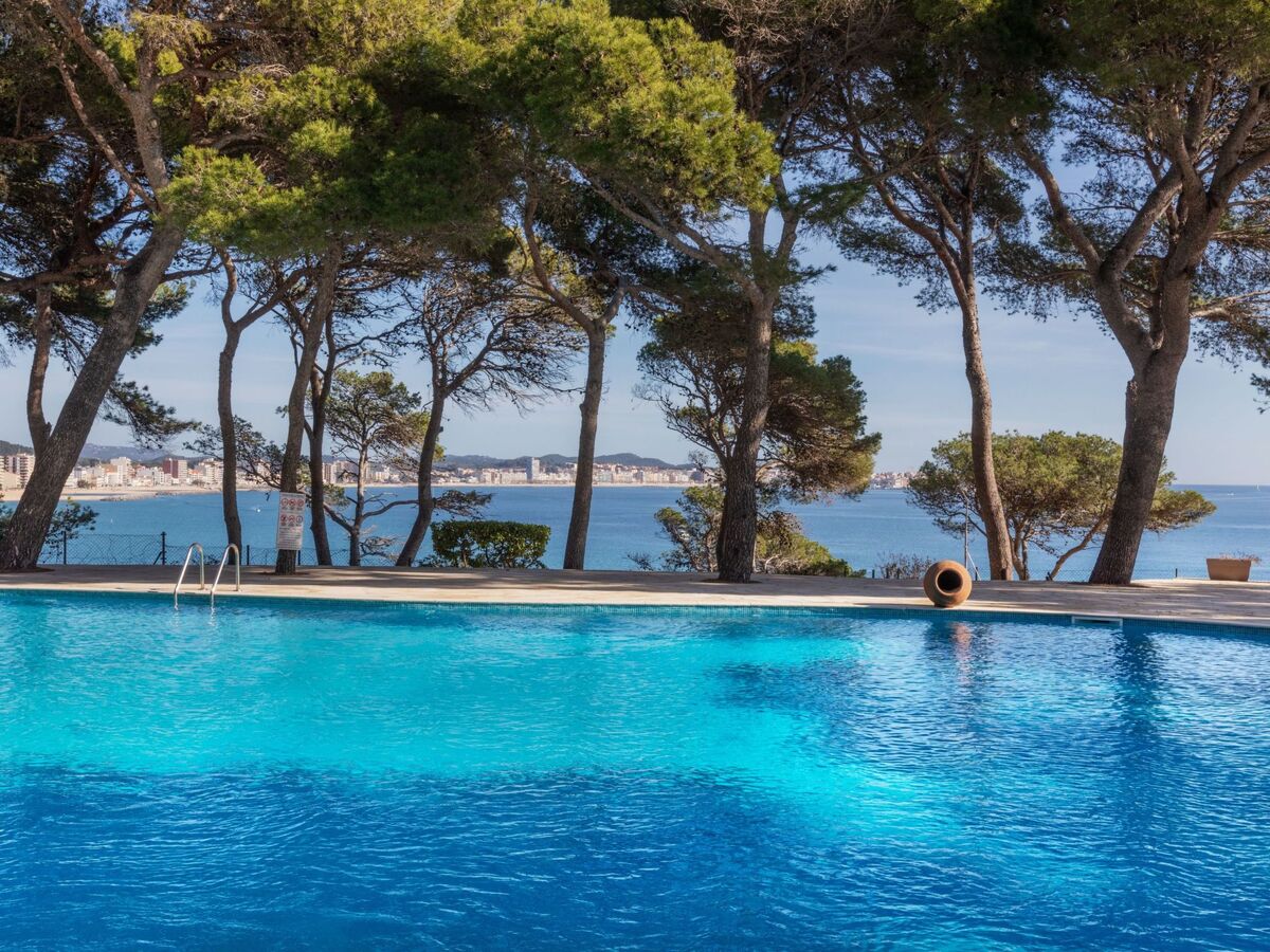Appartement Bernadette à 100 m de la mer, vue mer et piscine - Photo 13