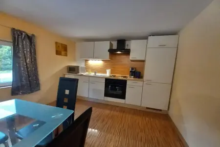 Maison 120 m² avec bar et salle de jeux à Turquestein : photo 4