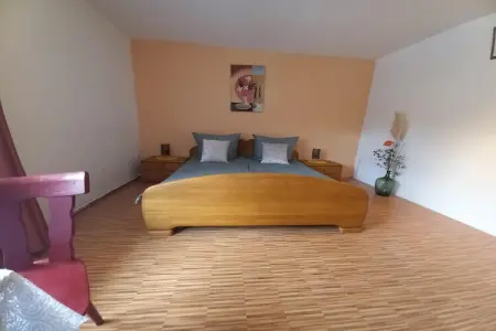 Maison 120 m² avec bar et salle de jeux à Turquestein : photo 9