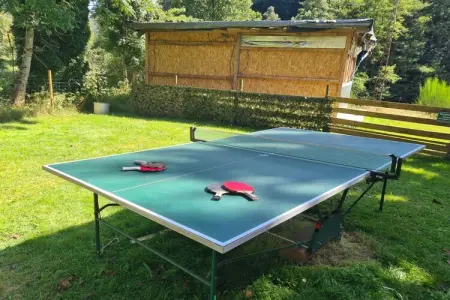 Maison 120 m² avec bar et salle de jeux à Turquestein : photo 10