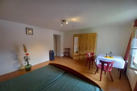 Maison 120 m² avec bar et salle de jeux à Turquestein : photo 11