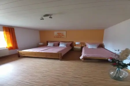 Maison 120 m² avec bar et salle de jeux à Turquestein : photo 13
