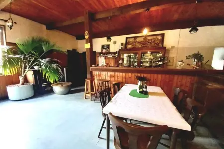 Maison 120 m² avec bar et salle de jeux à Turquestein : photo 22