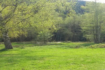 Maison 120 m² avec bar et salle de jeux à Turquestein : photo 25