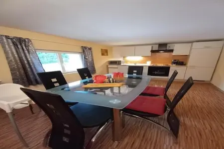Maison 120 m² avec bar et salle de jeux à Turquestein : photo 29