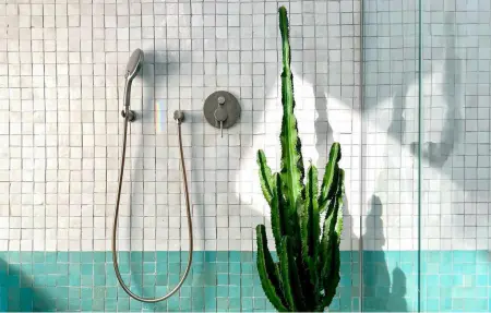 Maison du 17e siècle avec piscine à Lussan : photo 42