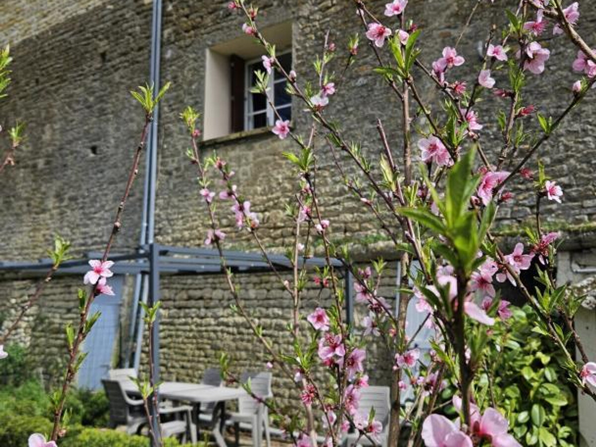 Gîte 4 pers. au cœur de Richelieu, jardin de 372 m² - Photo 36