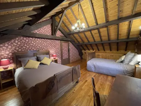 Gîte 10 pers. avec terrasse et accès randonnée à Ferrières-sur-Sichon : photo 18