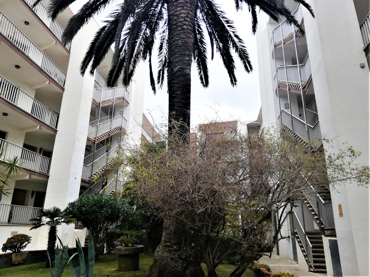 Appart 6 pers à Roses, 80m plage avec terrasse - Photo 23